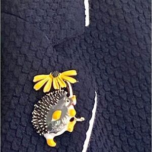 ⭐️Hedgehog Black Eyed Susan Brooch